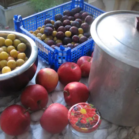 Philis לינה וארוחת בוקר ברגרק