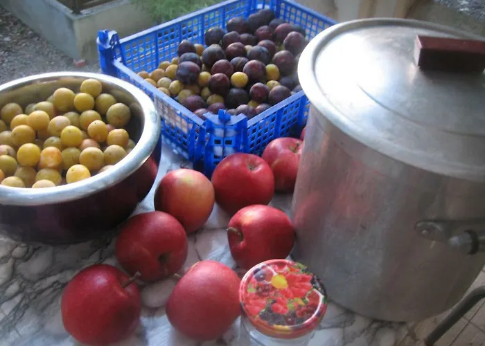 Philis Bed & Breakfast Bergerac